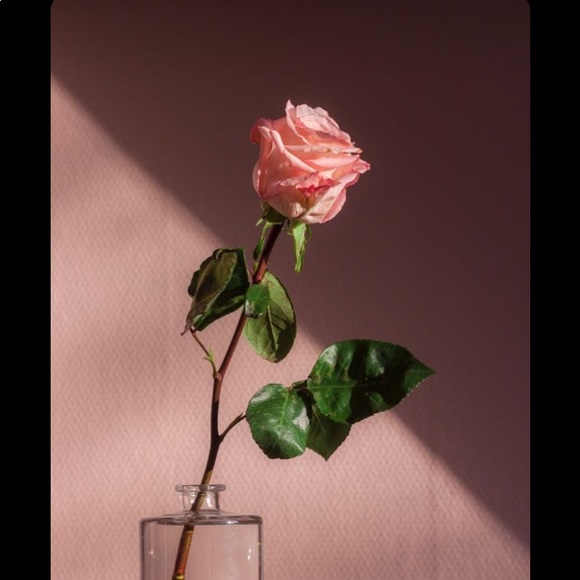 Meet your Posher, Yairis - Picture 1 of 1